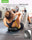 Pilates Ball 9 Inch Core Ball, Small Exercise Ball with Exercise Guide Barre Ball Mini Yoga Ball for Pilates, Yoga, Core Training, Physical Therapy, Balance, Stability, Stretching